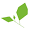 Charbrew.com Icon