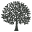 Parker Baby Co Icon