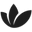 Eufora.net Icon
