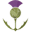 The Woolly Thistle Icon