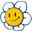 Daisyencens.com Icon