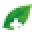 Drorganic.co.uk Icon
