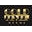 Goldfevermiami.com Icon