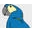 Margaritavillecaribbeanshop.com Icon