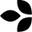 RealScience Icon