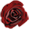 Red Rose Naturals Icon
