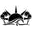Sunkissedlifestyles.com Icon