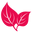 Naturesbeautybrands.com Icon