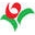 Holland Beauty Flower and Bulb Corporation Icon