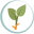 Tumericanow.com Icon