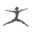 Danskin Icon