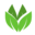 Arganoilessentials.com Icon
