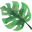 Bodegawellness.com Icon