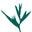 Thegreenjunglebeautyshop-europe.com Icon