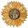 Darrellene Designs Icon