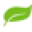 Diannecaine.com.au Icon