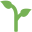 Amnasorganics.com Icon