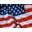 American Independence Icon
