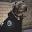 Americanbully.com Icon