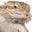 Customreptilehabitats.com Icon