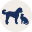 Rocco & Roxie Supply Icon