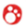 Pet Goods Icon
