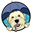 Under the Weather Pets Icon