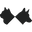 The Fluffy Carnivore Icon