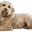 Bayleenasco.com Icon