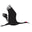 Sandhillcoffee.com Icon