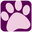 Dog Speak Cards Icon