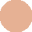 Bloontoys.com Icon