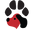 Plano Paws Icon