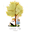 Cairennfoy.com Icon