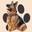 Milk Pet Foods Icon