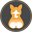 Nayothecorgi.com Icon
