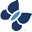 Intimausa.com Icon