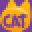 Cat Amazing Icon