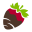 Shari's Berries Icon