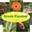 Greenpassion.com Icon