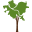 Treepittsburgh Icon