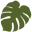 Leaf Supply Icon