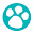 Dogquality.co.uk Icon