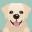 Happytails.ie Icon
