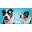 KayKos Dog Shades Icon
