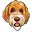 Orangedogdesignco.com Icon