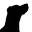 Gooddoggytreats.com Icon