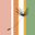Puravidaswim.com Icon