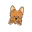 Smalldogofficial.com Icon
