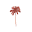 Indaiaswim.com.au Icon